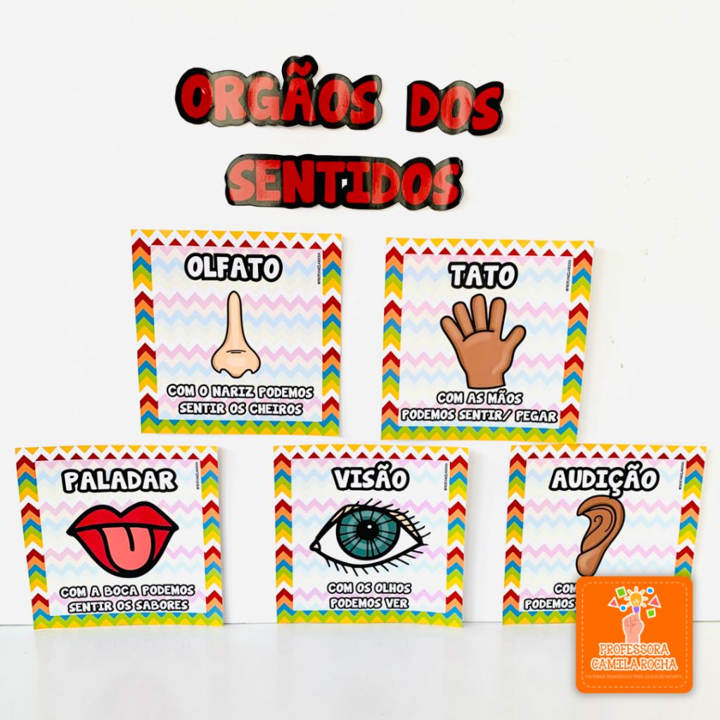 KIT ÓRGÃOS DOS SENTIDOS - Professora Camila Rocha