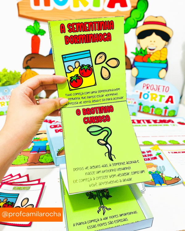 PROJETO HORTA - Imagem 11