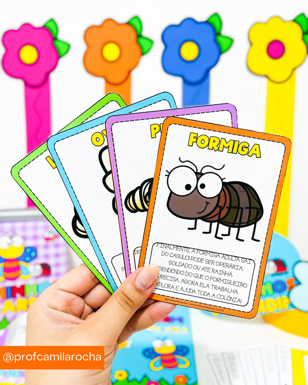 KIT BICHINHOS DE JARDIM - Imagem 15